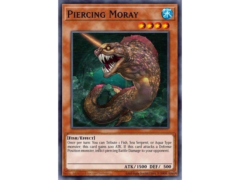 Piercing Moray (Common)