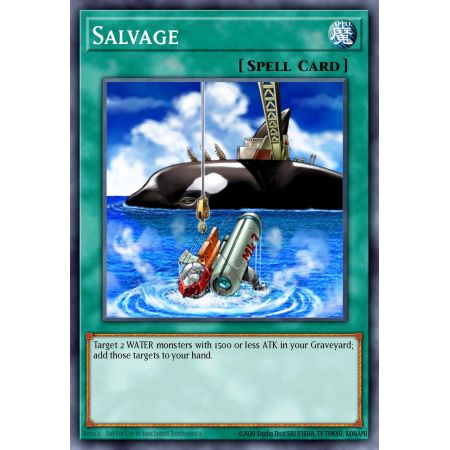 Salvage (Common)