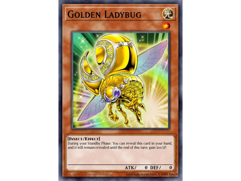 Golden Ladybug (Common)