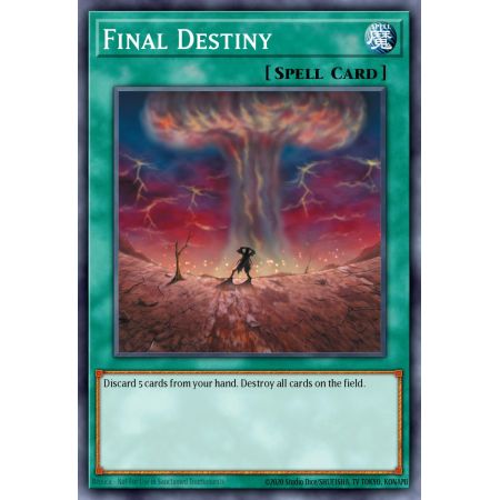 Final Destiny (Common)
