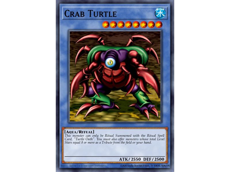 Crab Turtle (Common)