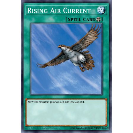 Rising Air Current (Short Print)