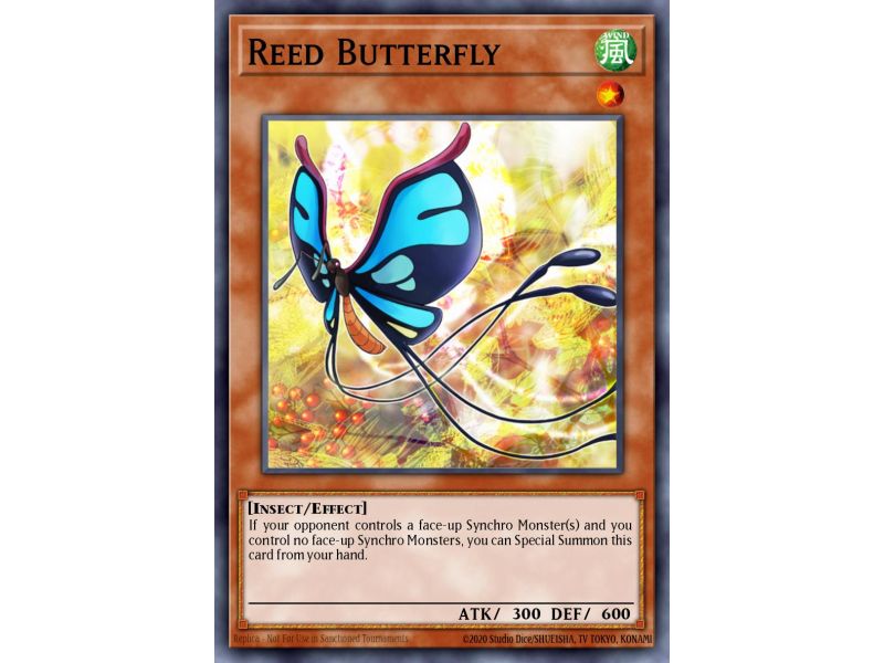 Reed Butterfly (Common)