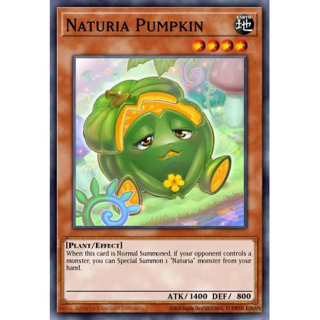 Naturia Pumpkin (Common)