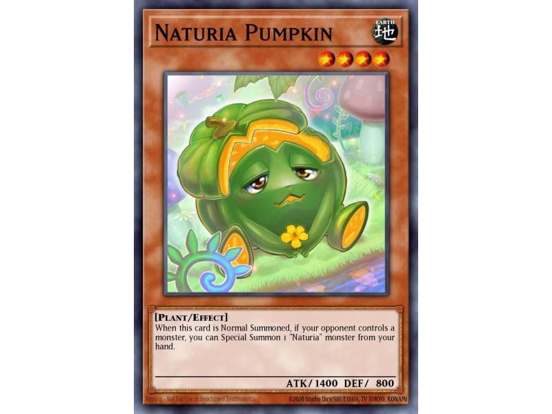 Naturia Pumpkin (Common)