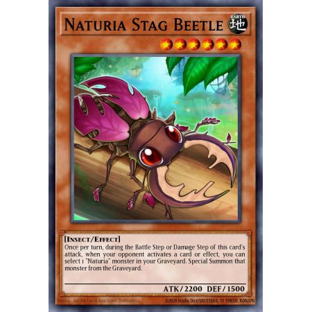Naturia Stag Beetle (Common)