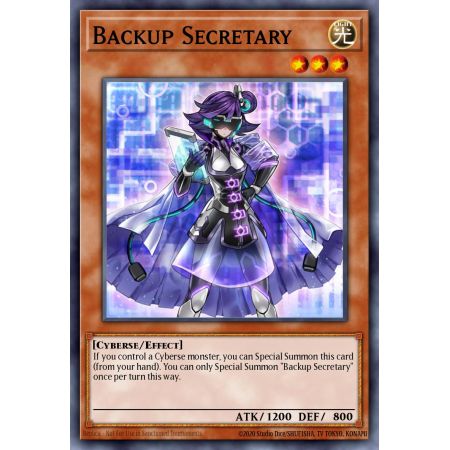 Backup Secretary (Common)