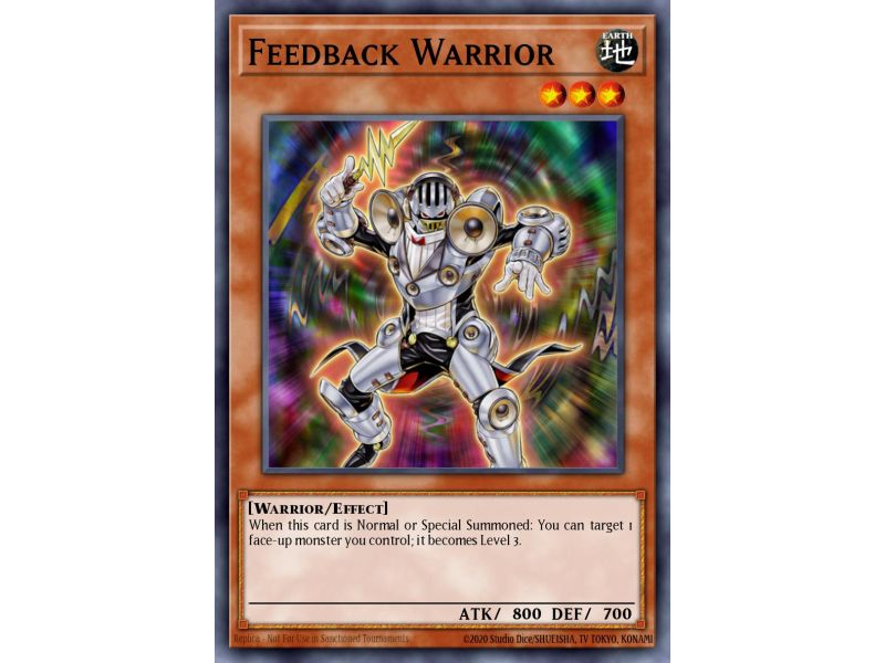Feedback Warrior (Common)