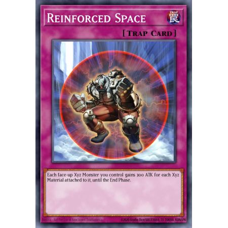 Reinforced Space (Common)