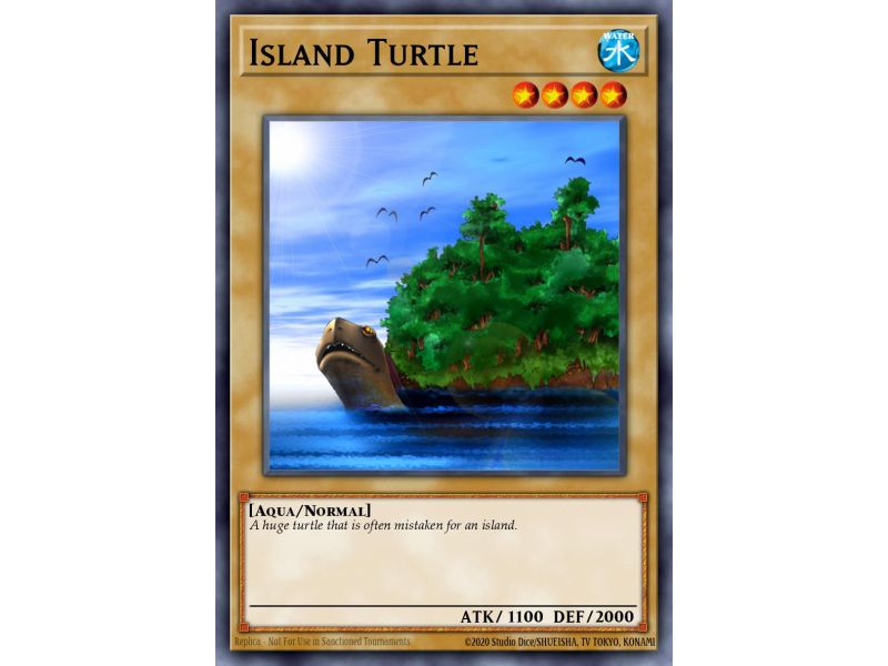 Island Turtle (Common)