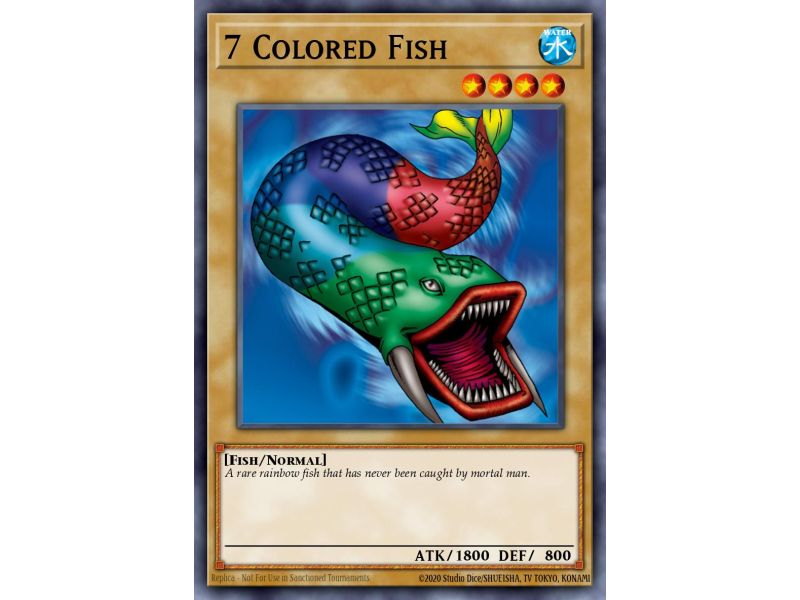 7 Colored Fish (Common)