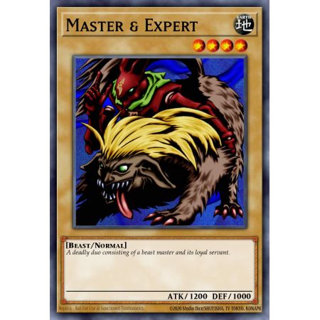 Master & Expert (Common)