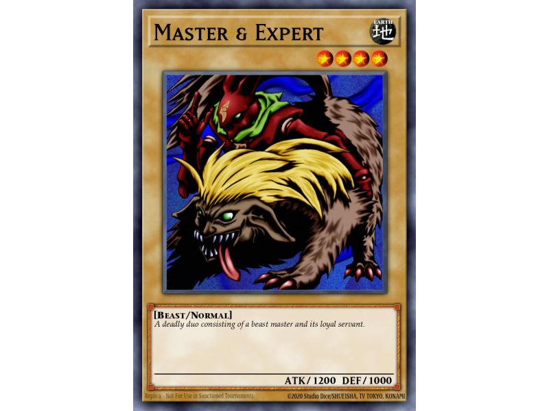Master & Expert (Common)