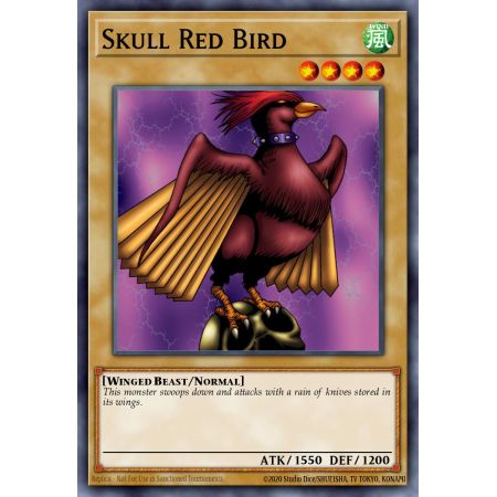 Skull Red Bird (Common)