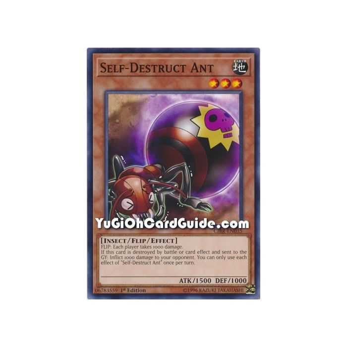 Self-Destruct Ant (Common) – Circuit Break | Carta YUGIOH en México