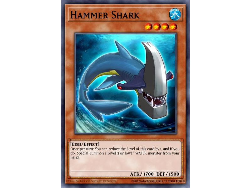 Hammer Shark (Common)