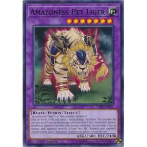 Amazoness Pet Liger (Common) – Circuit Break | Carta YUGIOH en México