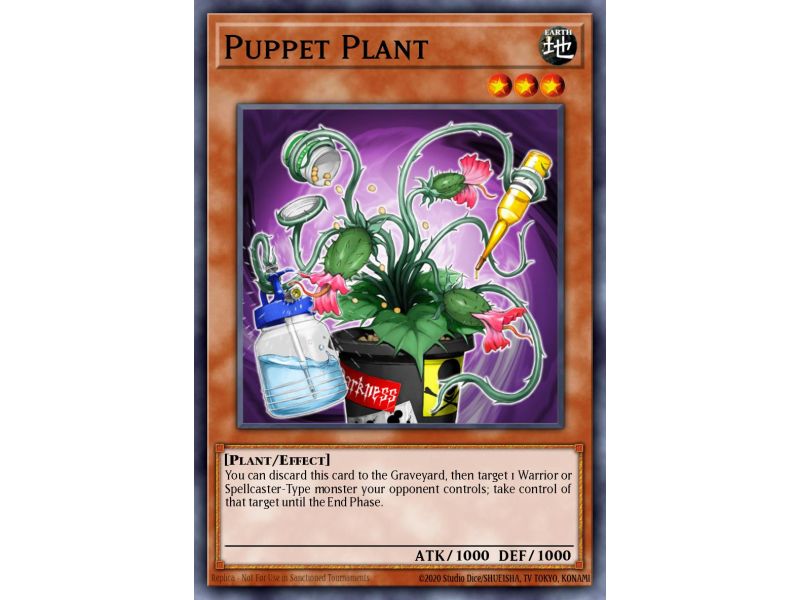 Puppet Plant (Common)
