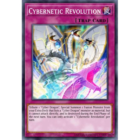 Cybernetic Revolution (Common)