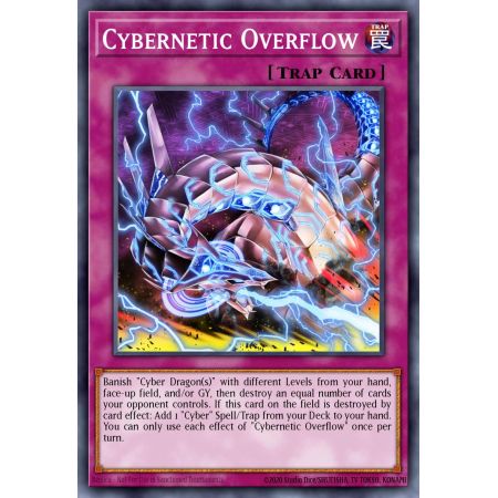 Cybernetic Overflow (Common)
