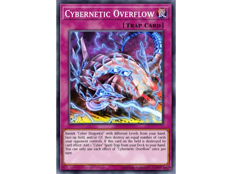 Cybernetic Overflow (Common)