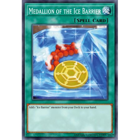 Medallion of the Ice Barrier (Common)
