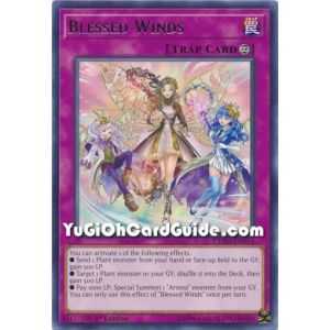 Blessed Winds (Rare) – Chaos Impact | Carta YUGIOH en México