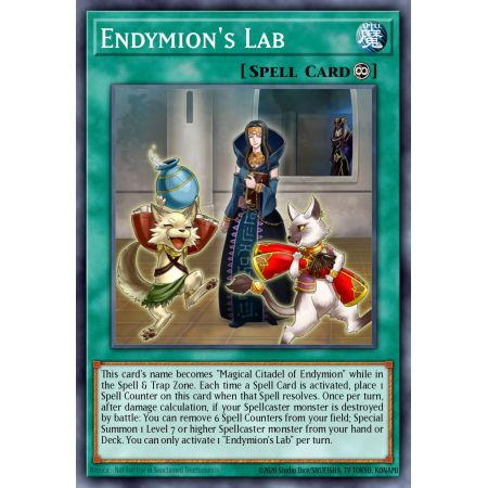 Endymion's Lab (Common)