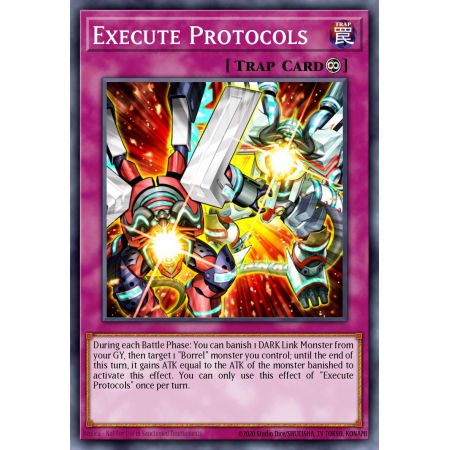 Execute Protocols (Common)