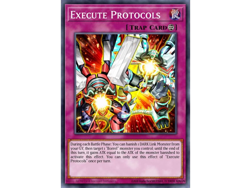 Execute Protocols (Common)