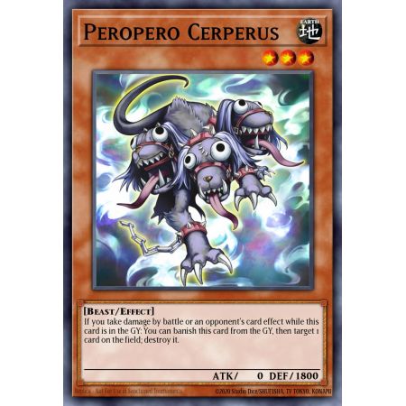 Peropero Cerperus (Common)