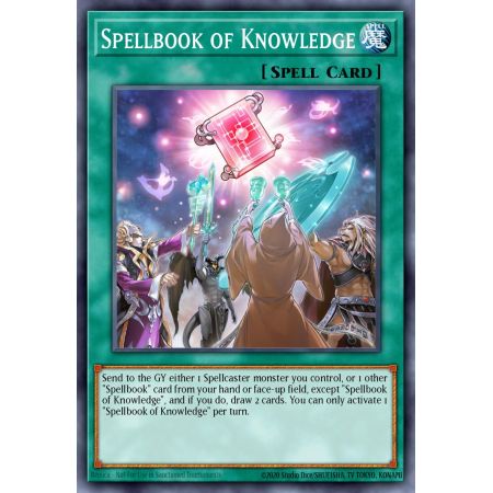 Spellbook of Knowledge (Common)