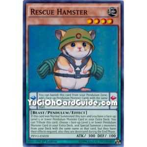 Rescue Hamster (Super Rare) – Pendulum Evolution | Carta YUGIOH en México