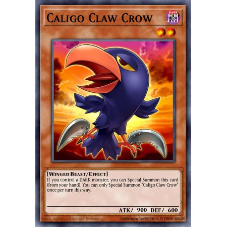 Caligo Claw Crow (Common)