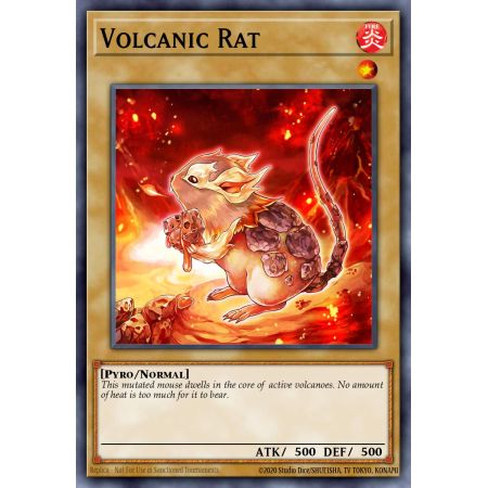 Volcanic Rat (Common)