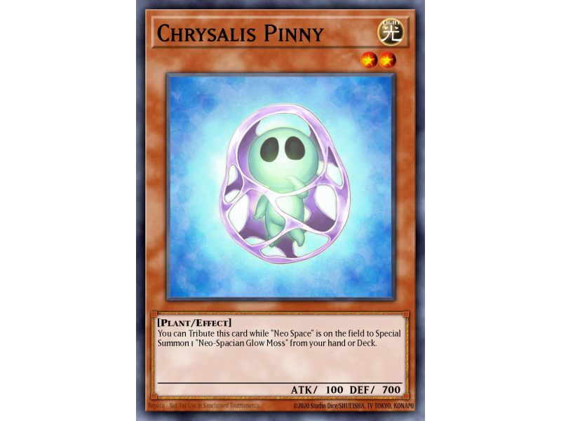 Chrysalis Pinny (Common)