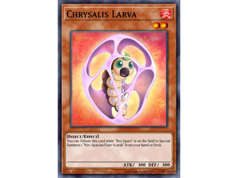 Chrysalis Larva (Common)