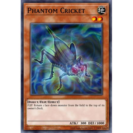 Phantom Cricket (Common)