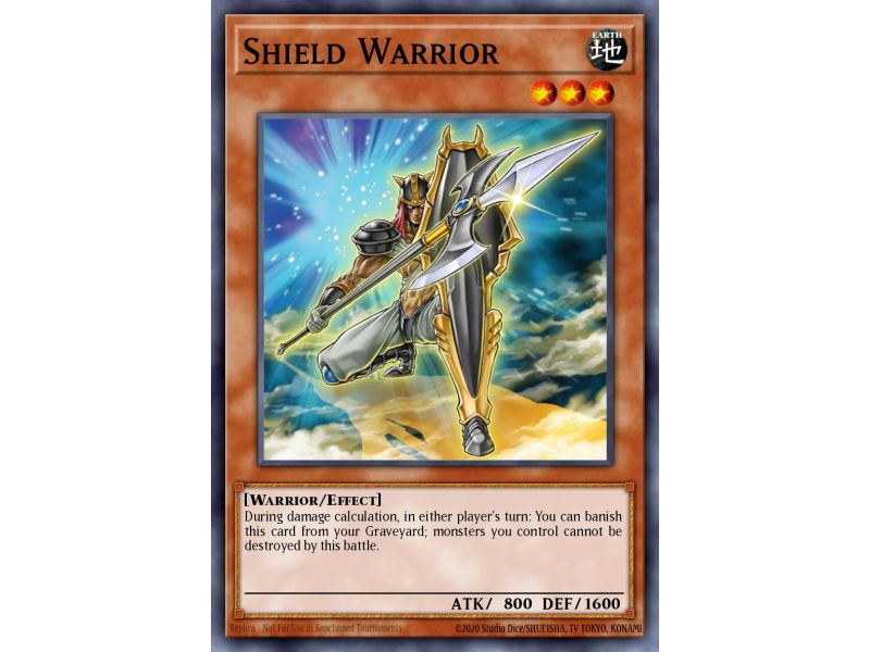 Shield Warrior (Rare)