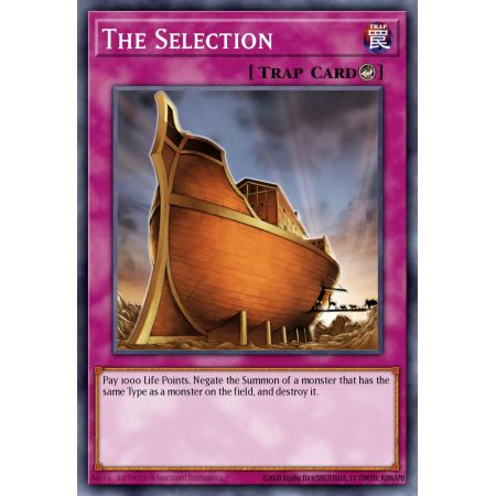 The Selection (Rare)