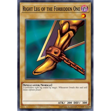 Right Leg of the Forbidden One (Common)