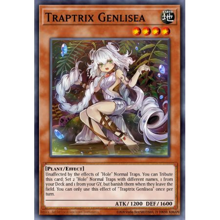 Traptrix Genlisea (Common)