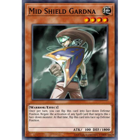 Mid Shield Gardna (Rare)