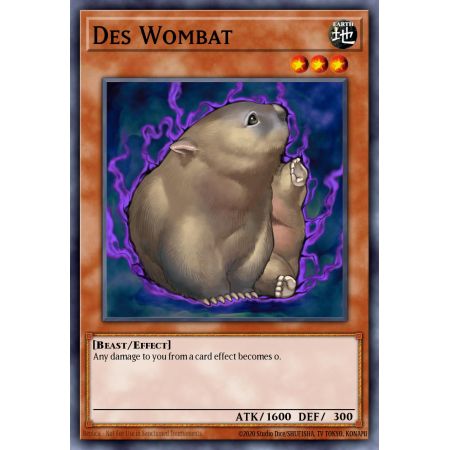 Des Wombat (Common)