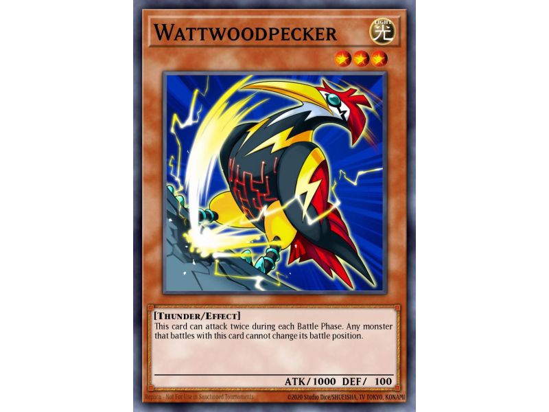 Wattwoodpecker (Common)