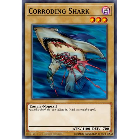 Corroding Shark (Common)