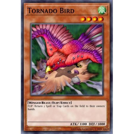 Tornado Bird (Common)
