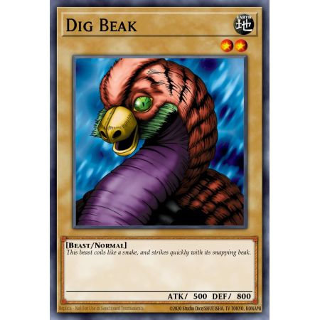 Dig Beak (Common)