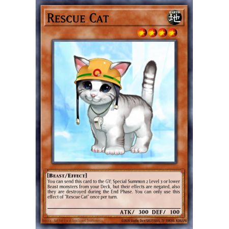 Rescue Cat (Rare)