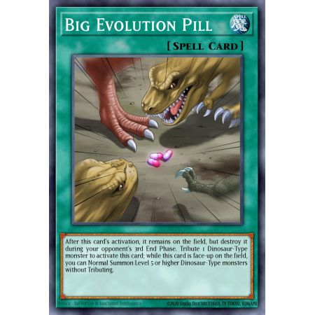 Big Evolution Pill (Rare)